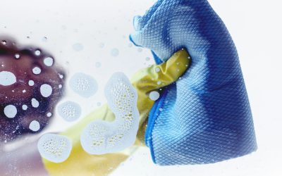 The History of Cleaning Products