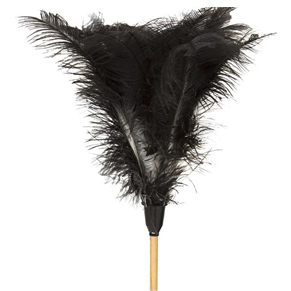 Feather duster