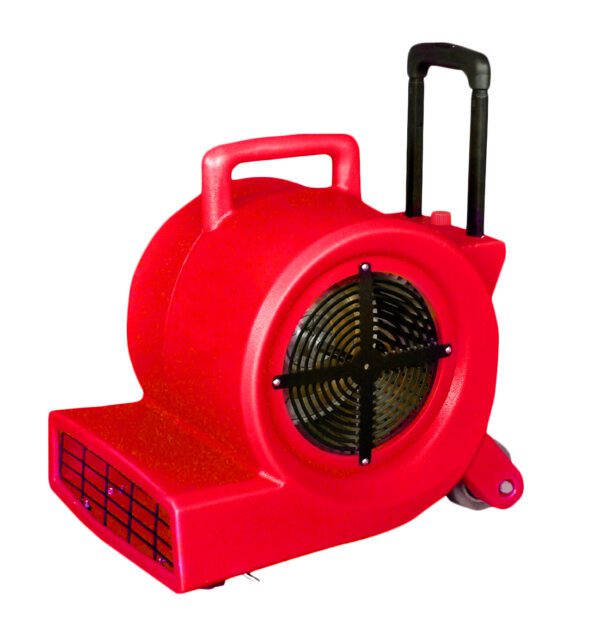 Carpet blower